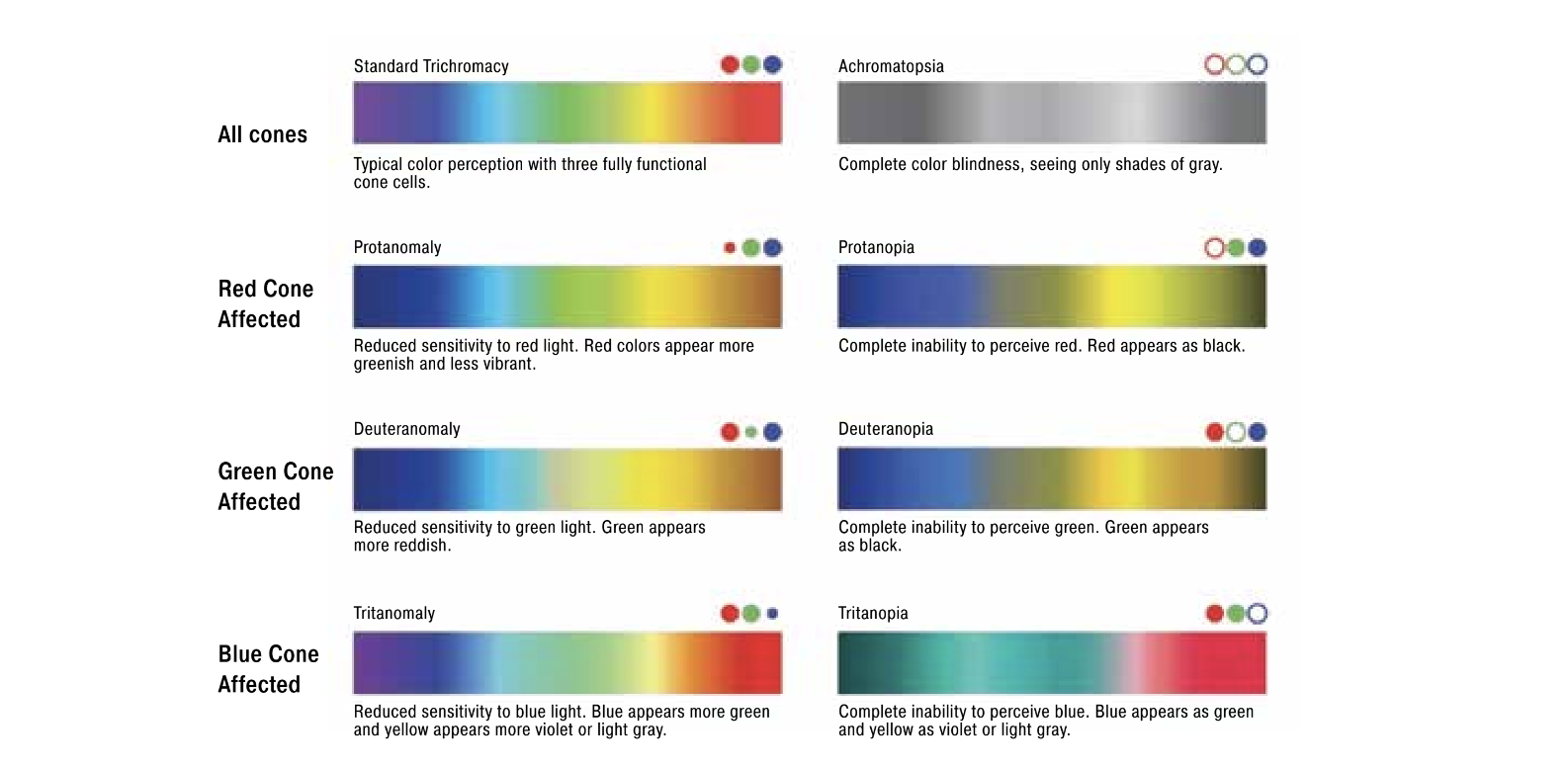 a chart showing the different ways people see